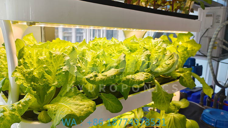 Agriculture Farming Systems - c Macchina agricola per coltivare la