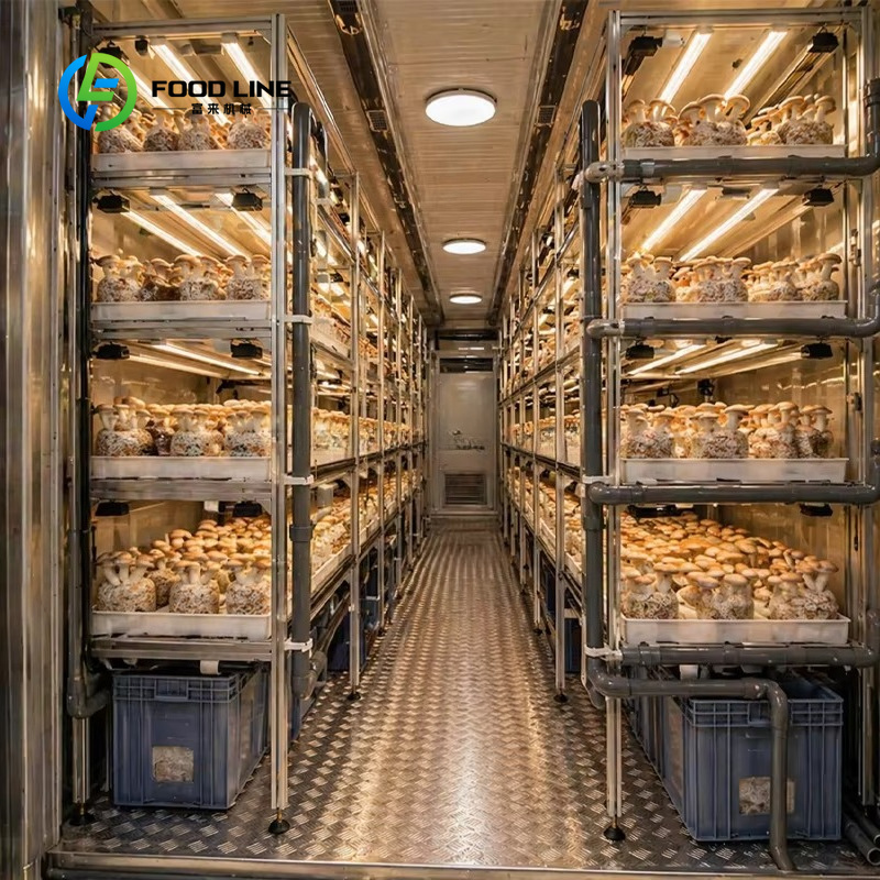 Fattoria Modulare in Container - Urban Farming Agriculture recensione e prezzo