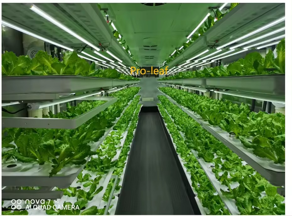 f Attrezzature agricole per se - Agriculture Farming Systems recensione e prezzo