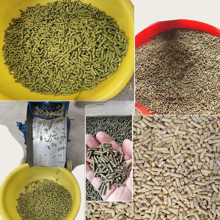 Macchina Pellettatrice per Man - Wood Pellet Making Machine recensione e prezzo