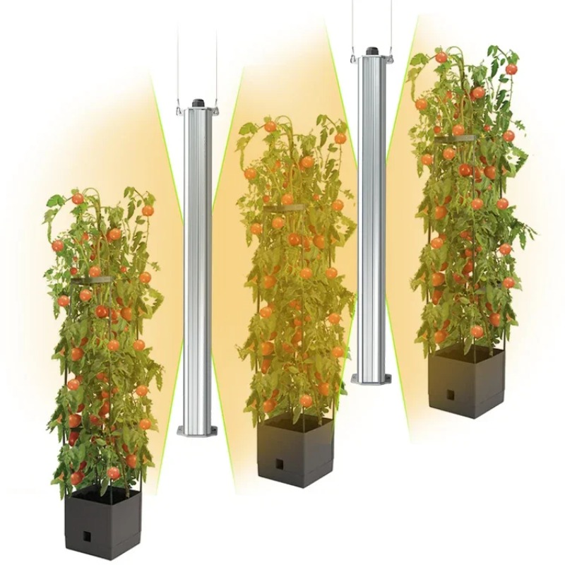 Migliore Sistema Idroponico Ce - Agriculture Tomato Farming recensione e prezzo