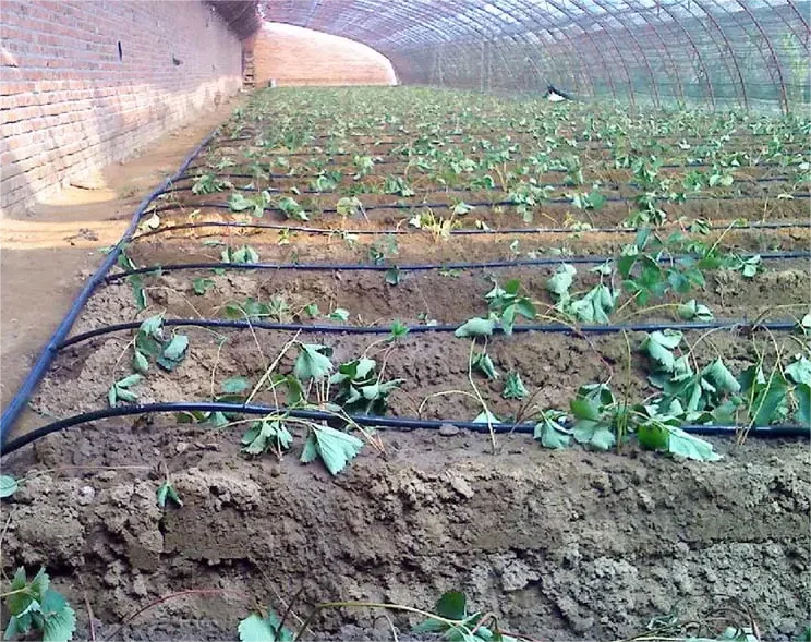 Kit Irrigazione 1HA, Strumento - Agriculture Farming Systems recensione e prezzo