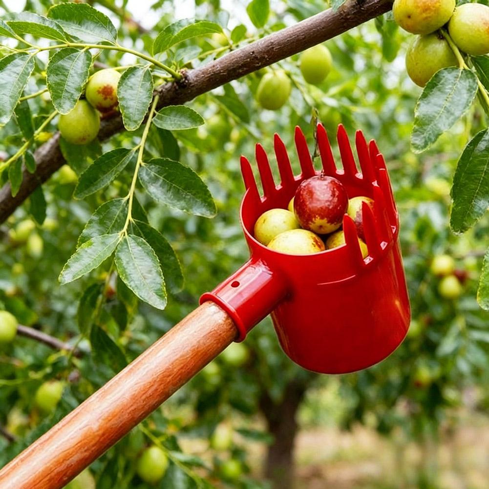 Raccoglitore di Frutta Portati - Agriculture Tomato Farming recensione e prezzo