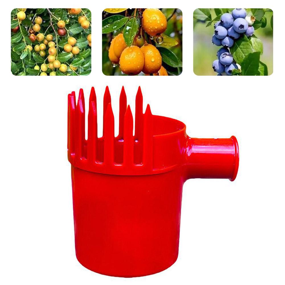 Raccoglitore di Frutta Portati - Agriculture Farming Tool recensione e prezzo