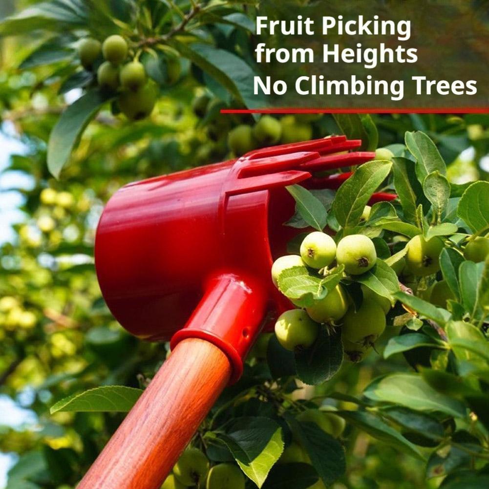 Raccoglitore di Frutta Portati - Agriculture Farming Tool recensione e prezzo