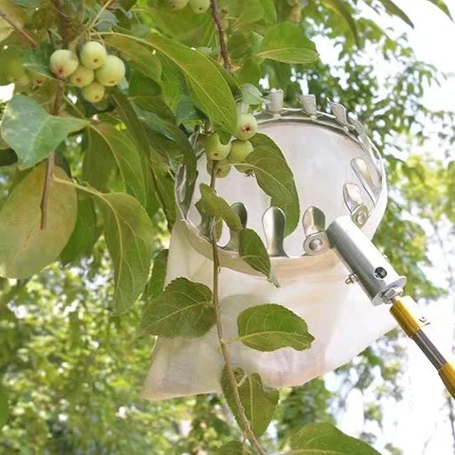 Raccogli Frutta Professionale: - Agriculture Farming Tool recensione e prezzo