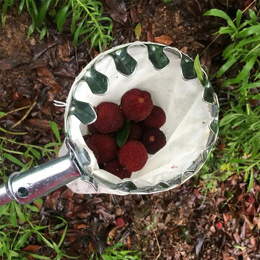 Raccogli Frutta Professionale: - Agriculture Farming Tool recensione e prezzo