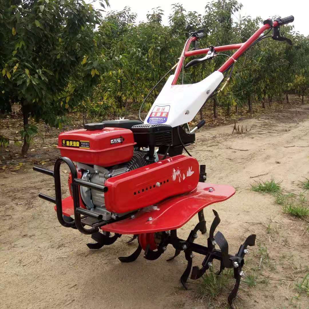 Micro-motozappa ad Alta Produt - Agriculture Farming Job recensione e prezzo