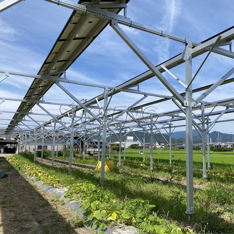 Nuovo Sistema di Montaggio Sol - Sustainable Agriculture/Farming recensione e prezzo