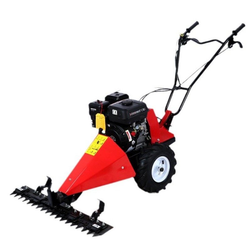 Tagliaerba a Quattro Tempi da  - Agriculture Farming Job recensione e prezzo