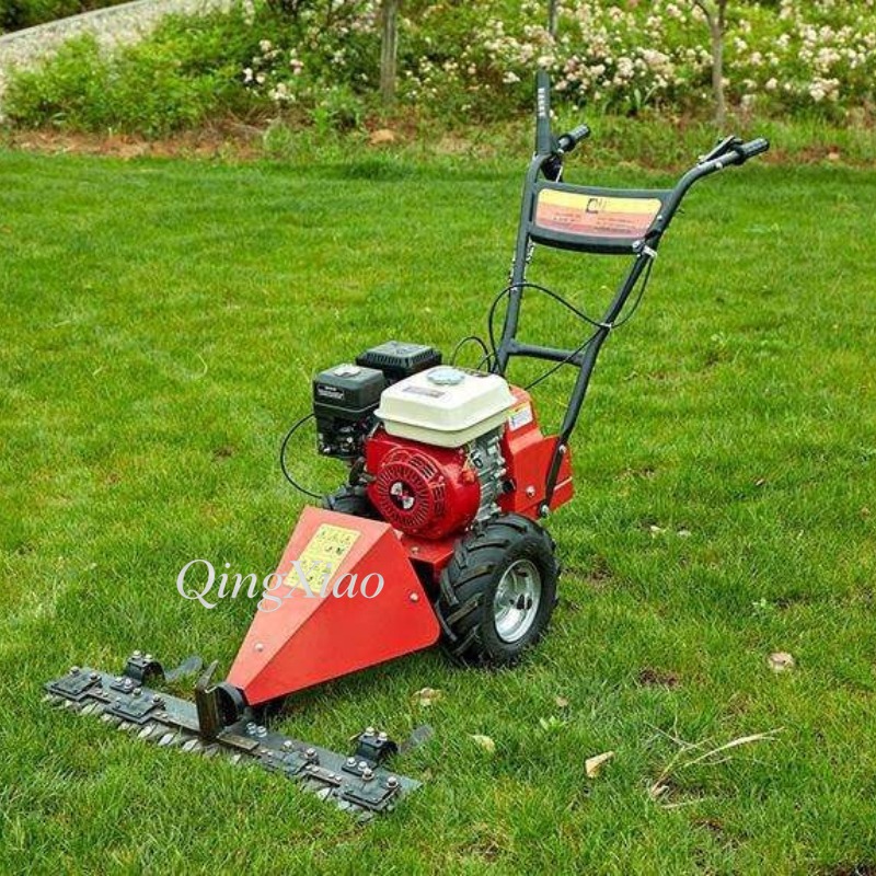 Tagliaerba a Quattro Tempi da  - Agriculture Farming Job recensione e prezzo
